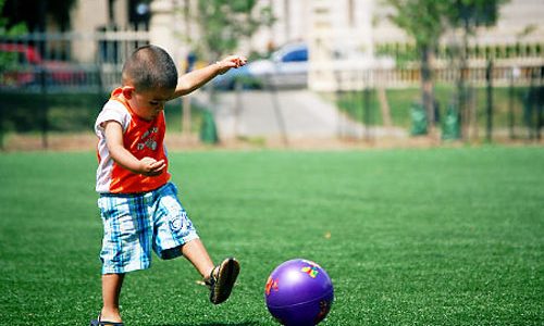 Top Rated Synthetic Turf Company San Diego, Artificial Lawn Play Area Company