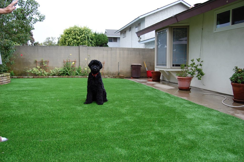 Synthetic Lawn Pet Landscapes San Diego, Top Rated Artificial Grass Installation for dogs