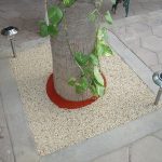 Rubber Tree Well Installation in San Diego, Porous Tree Well