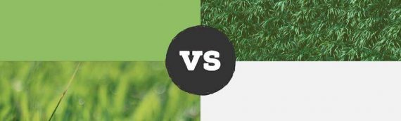 ▷Artificial Turf San Diego vs. Natural Grass
