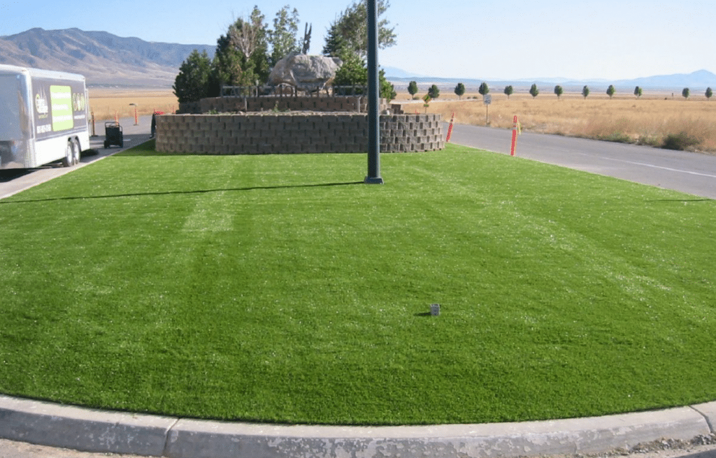 4 Benefits of Artificial Grass for San Di