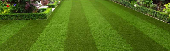 ▷Improve Your Existing Trees With The Best Artificial Grass In San Diego