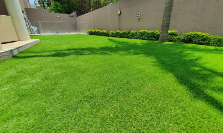 Secrets About Maintaining the Perfect Lawn In San Diego