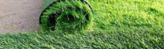 ▷Why Artificial Grass Pros Are The Best In San Diego