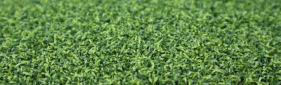 ▷Why Choose Artificial Grass In San Diego?