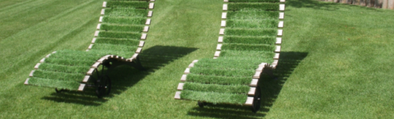 ▷Is It Time For Artificial Grass In San Diego?