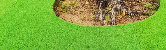 ▷7 Reasons To Choose Artificial Grass In San Diego