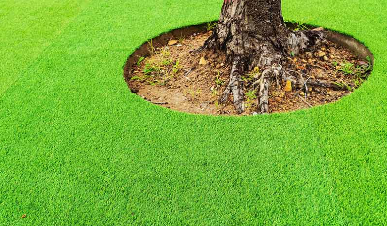 7 Reasons To Choose Artificial Grass In San Diego