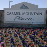 Carmel Mountain Ranch Artificial Grass Installation