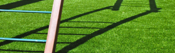 ▷Can You Put Play Equipment On Artificial Grass In San Diego?