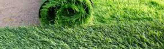 ▷Commercial Business Benefit From Artificial Grass San Diego