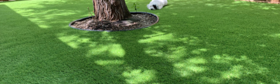 ▷Does Artificial Grass Kill Or Encourage Bacterial Growth In San Diego?