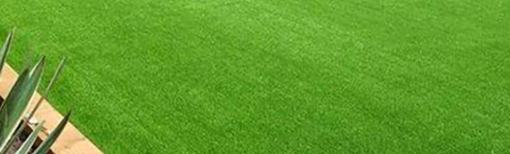 ▷Install Artificial Grass In Your Garden In San Diego