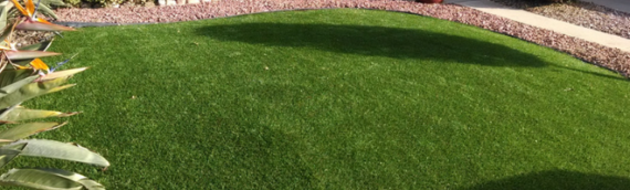 ▷4 Tips For Caring for Artificial Grass In San Diego