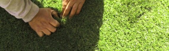 ▷How To Remove Dirt From Artificial Grass Rugs In San Diego?