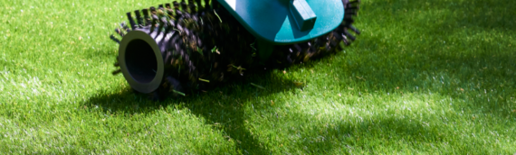 ▷5 Tips To Easily Clean Up Pet Waste From Artificial Grass In San Diego